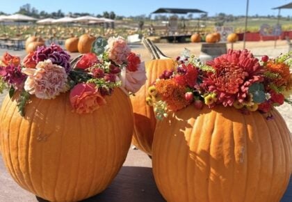 A festive fall scene at the Pumpkin & Marigold Harvest Festival
