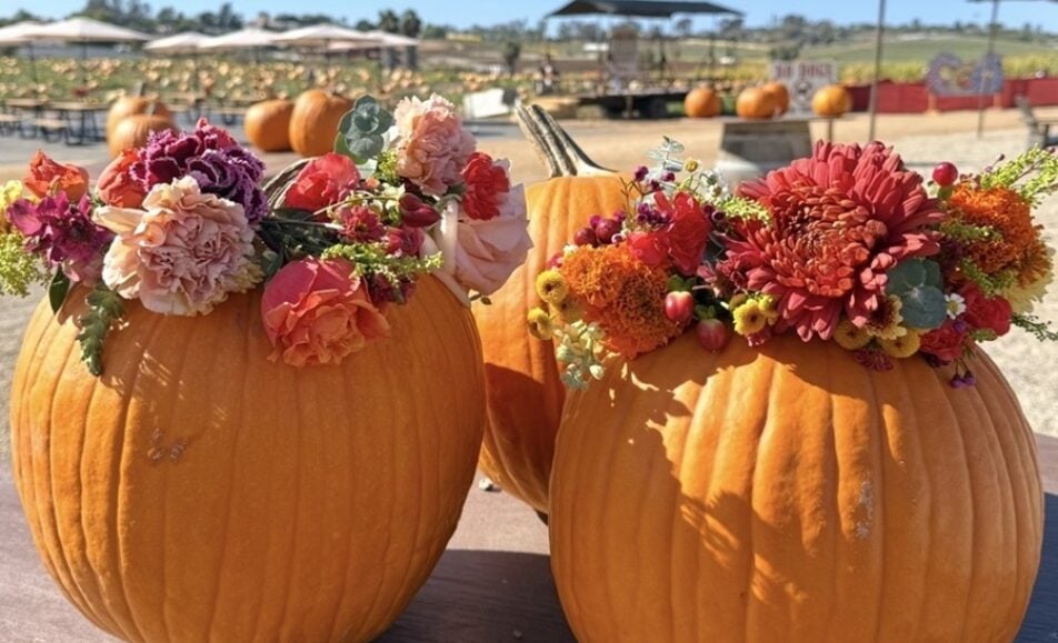 A festive fall scene at the Pumpkin & Marigold Harvest Festival