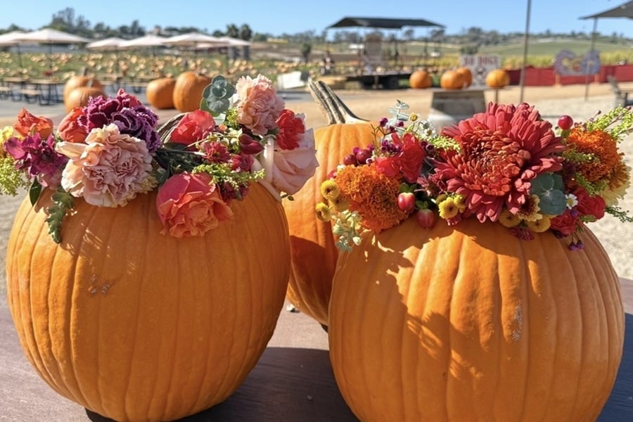 A festive fall scene at the Pumpkin & Marigold Harvest Festival