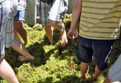 Fascinating Julian Celebrates Julian Grape Stomp Fiesta 2022