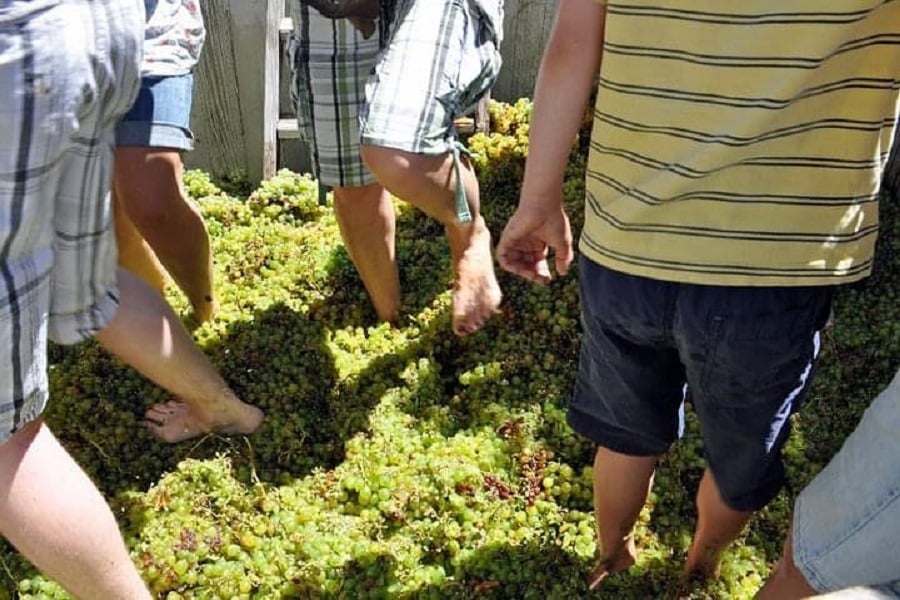 Fascinating Julian Celebrates Julian Grape Stomp Fiesta 2022