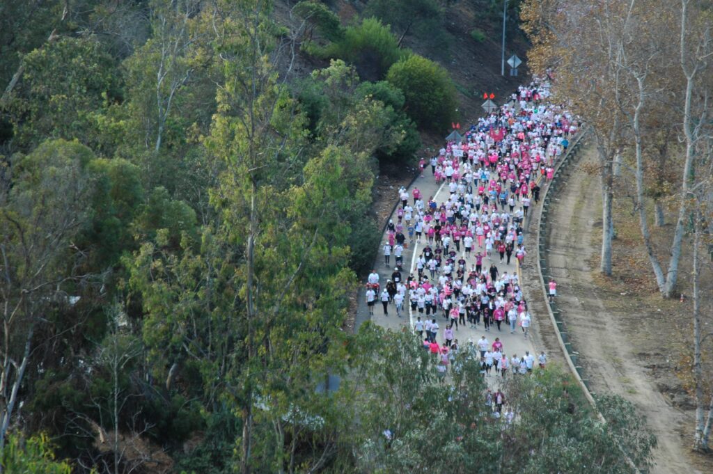 More than pink walk