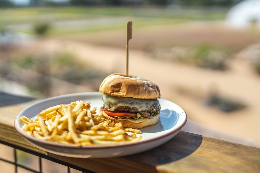 National Burger Day