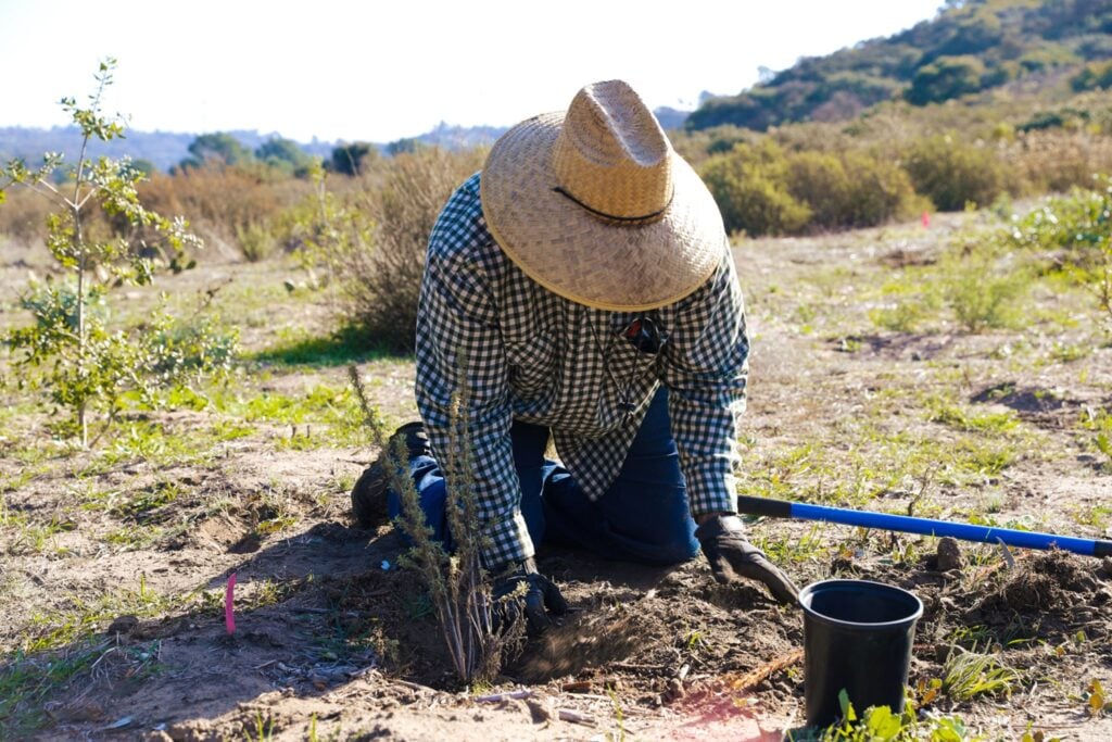 Nature Collective fall events