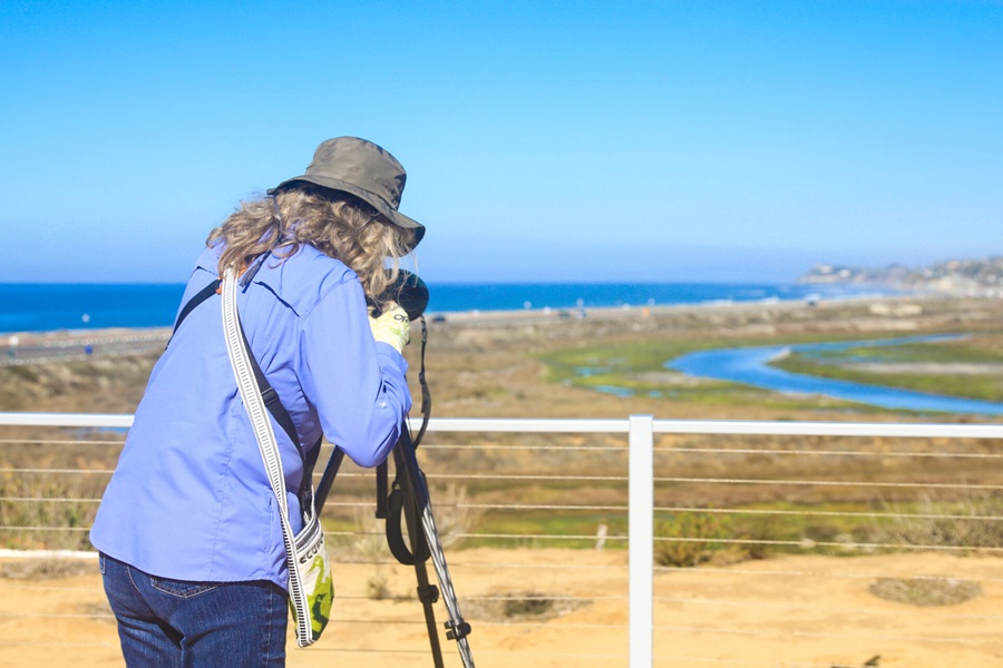 Nature collective august events