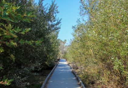 Nature collective august events