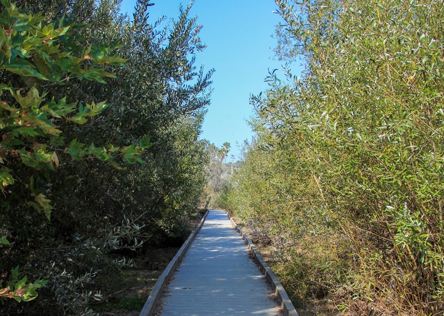 Nature collective august events