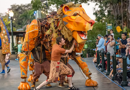 Don't Miss Out On Nighttime Zoo Final Season at San Diego Zoo