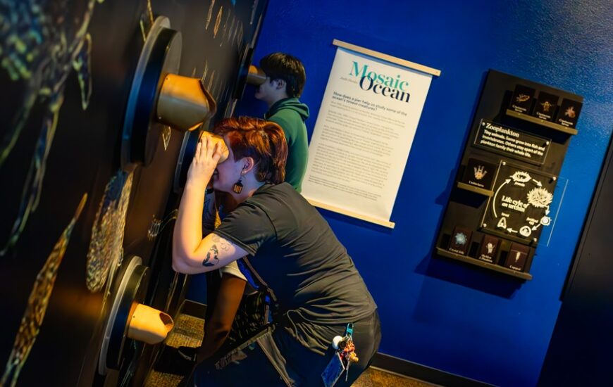 intersection of art and science