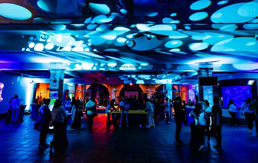 Birch Aquarium Oceans at Night