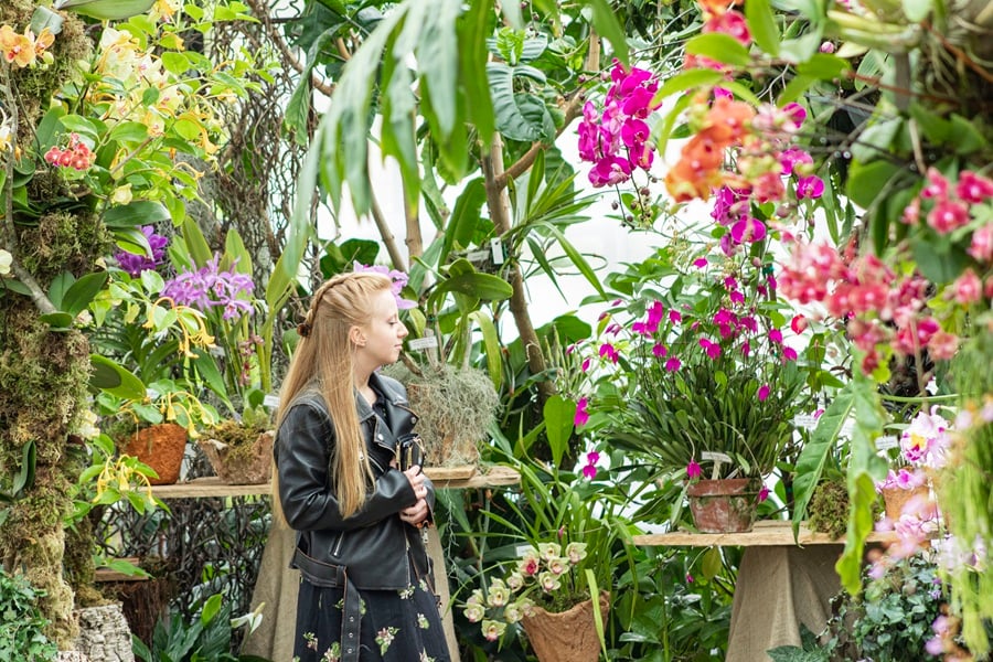 Guests Exploring Orchids in the Wild at San Diego Botanic Garden