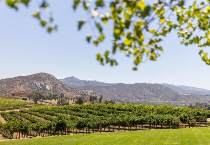 Valentine's Day at Orfila Vineyards & Winery