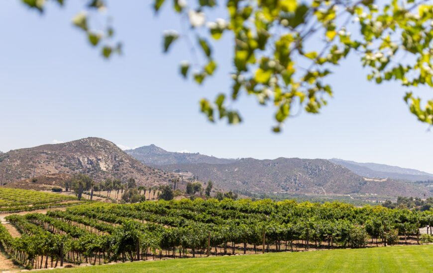 Valentine's Day at Orfila Vineyards & Winery