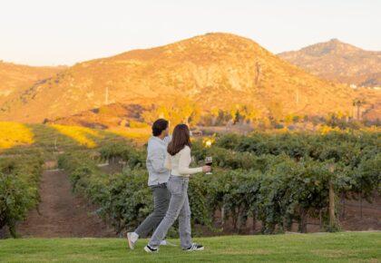 San Diego wineries