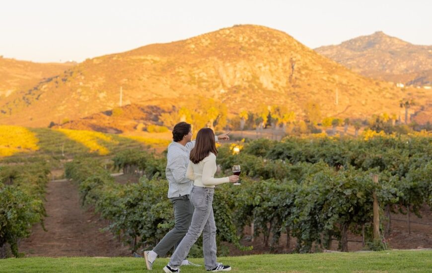 San Diego wineries