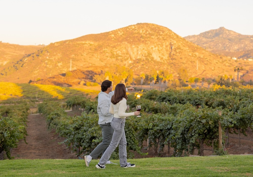 San Diego wineries