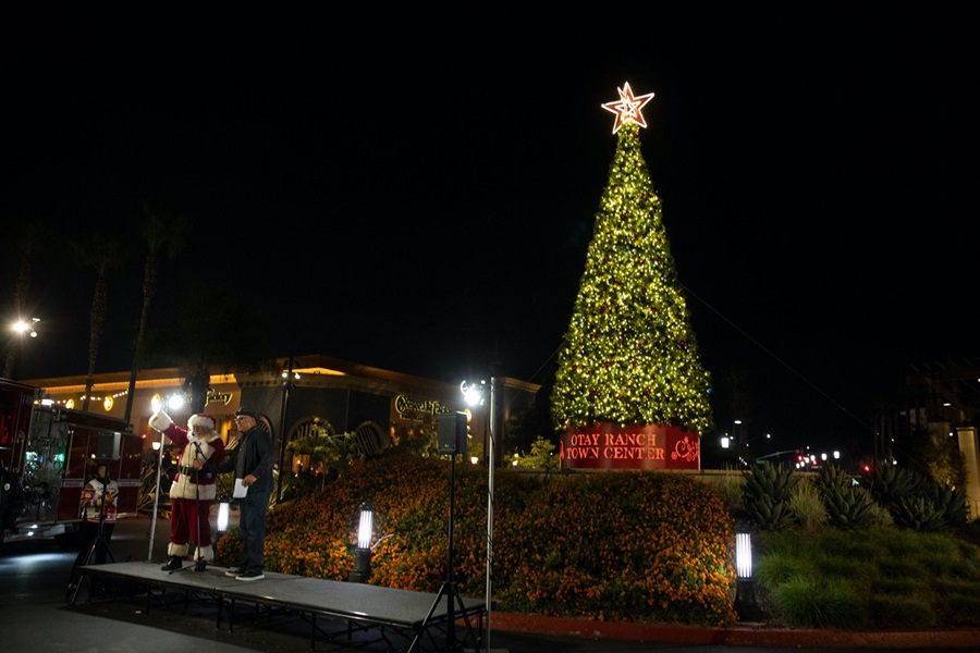 Tree Lighting and Holiday Farmers Market