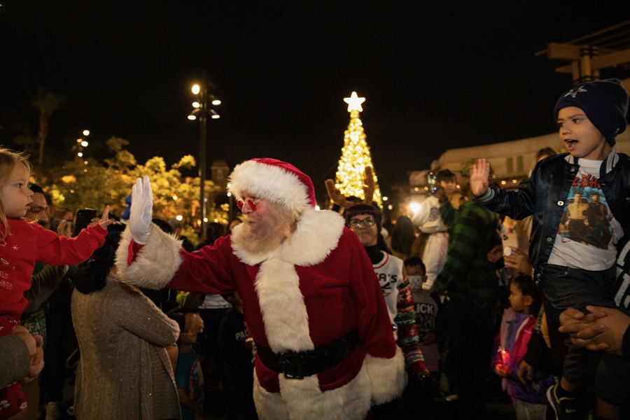 Tree Lighting and Holiday Farmers Market