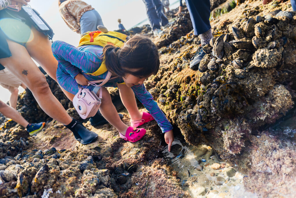 Birch Aquarium Events