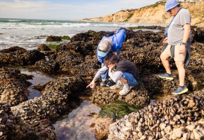 tidepool adventures