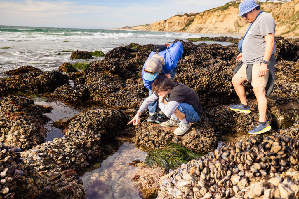 Tidepooling Adventures