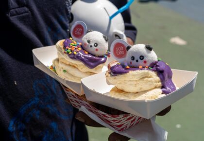 panda fest san diego