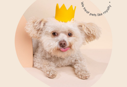 Papaya Pet Care Celebrates Grand Opening