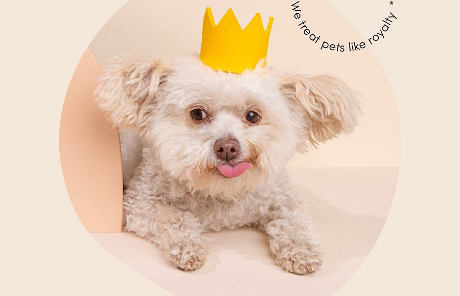 Papaya Pet Care Celebrates Grand Opening