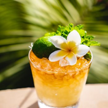 tropical cocktail drink