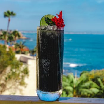 cocktail drink and an ocean view