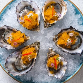 oysters on ice