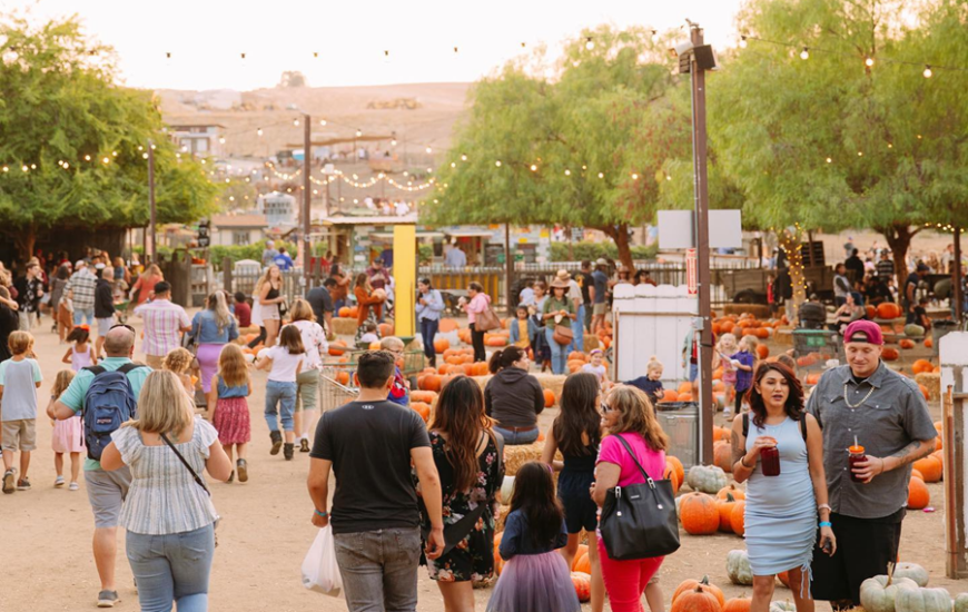 Temecula Wine Valley