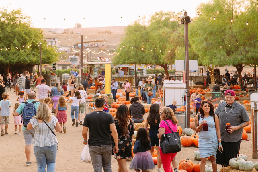 Temecula Wine Valley