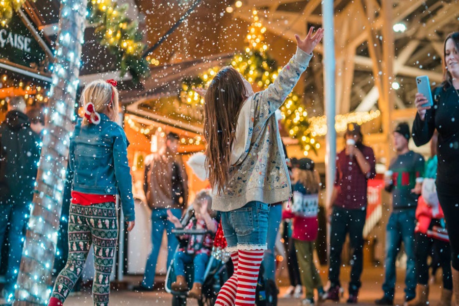 holiday wonderland petco park