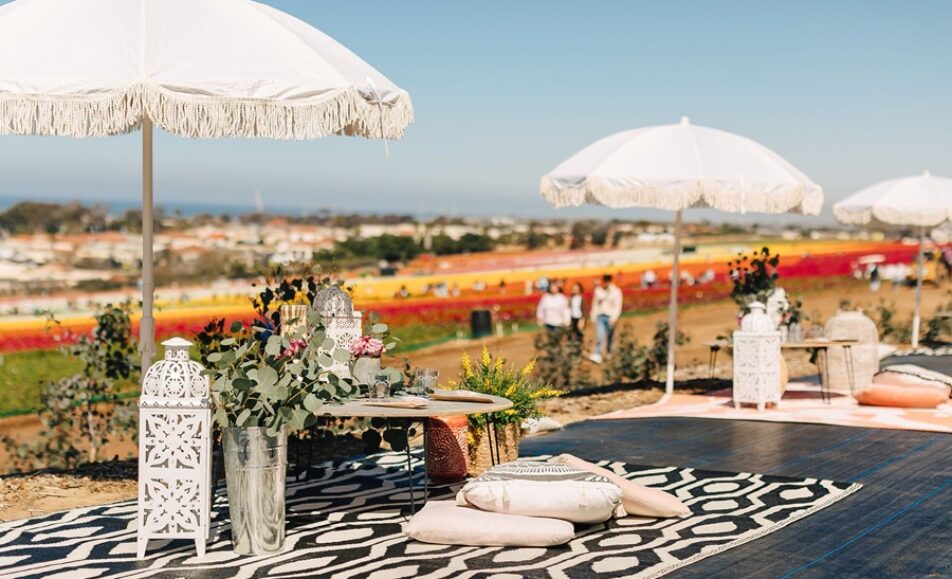 Picnic + Flowers at The Flower Fields