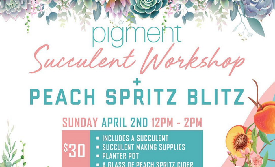 Pigment Succulent Workshop + Peach Spritz Blitz