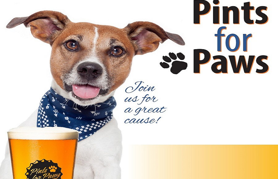Chula Vista Brewery And Chula Vista Animal Care Facility Team Up For Pints For Paws Fundraising Event