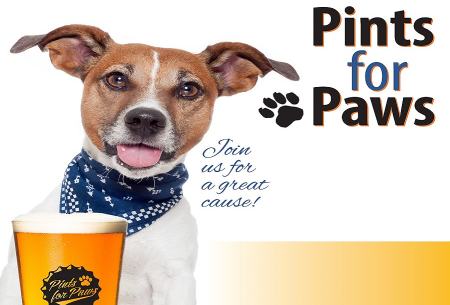 Davidson: All paws on deck at Do At The Zoo fundraiser – The