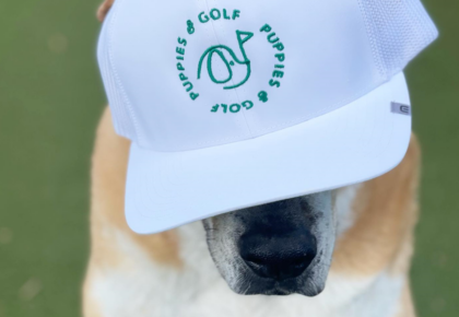 Puppies and Golf at Mavericks Beach Club