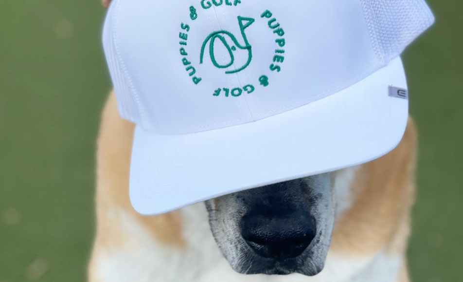 Puppies and Golf at Mavericks Beach Club