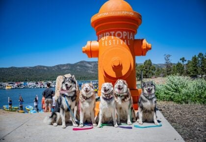 Puptopia Festival Big Bear