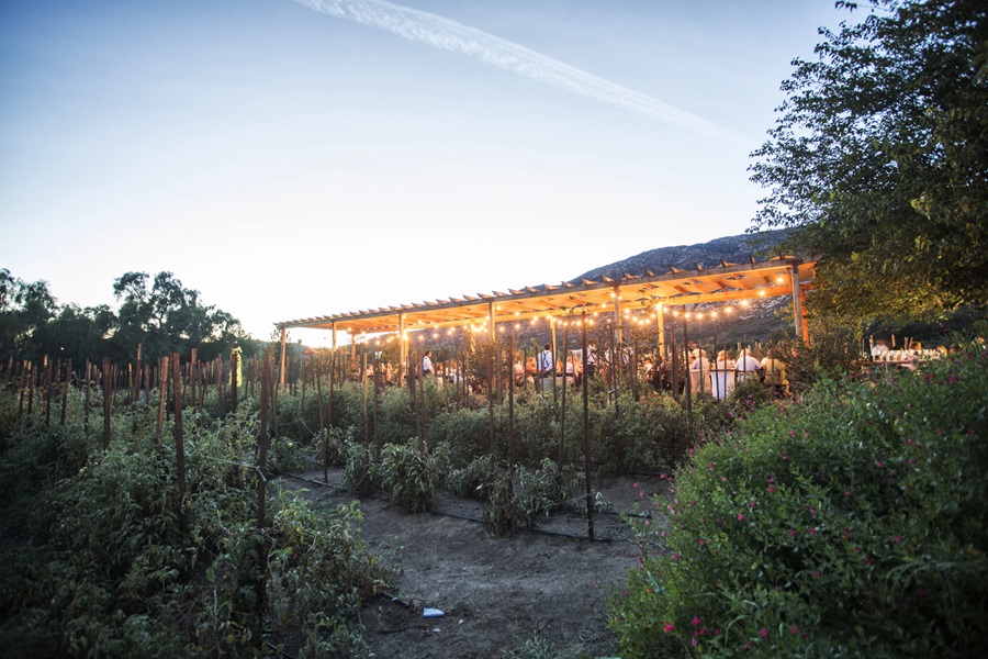 Mexican Independence Day at Rancho La Puerta