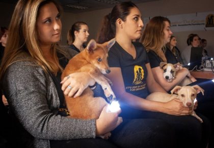 The Animal Pad + TrustedHousesitters Partner For Remember Me Thursday