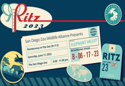 Rendezvous In The Zoo at San Diego Zoo