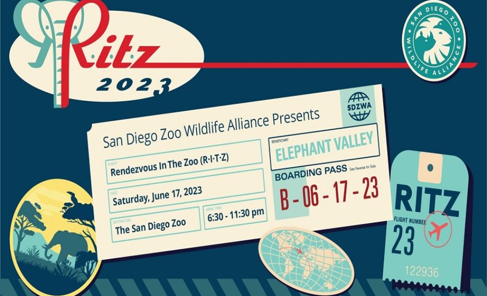 Rendezvous In The Zoo at San Diego Zoo