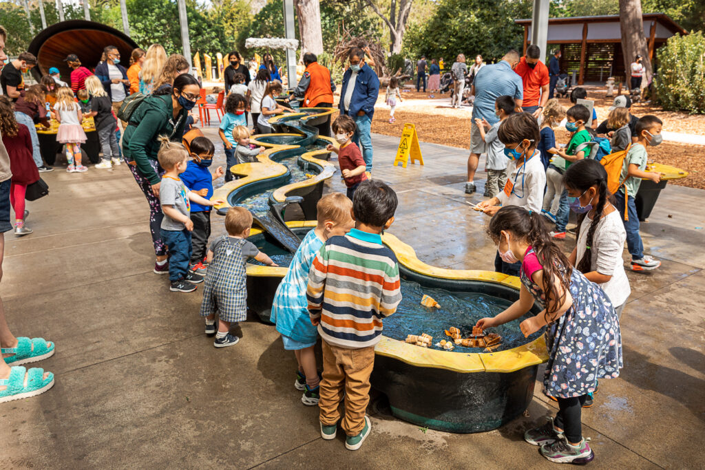 kids at birch aquarium