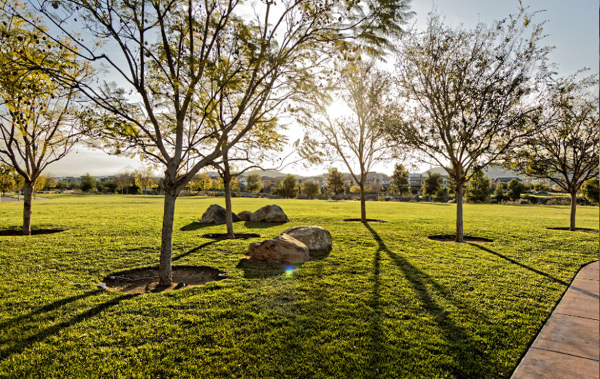 Growing Green Spaces 2026 Grant Program