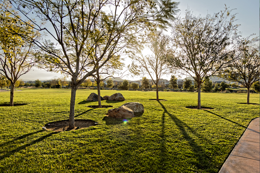 Growing Green Spaces 2026 Grant Program