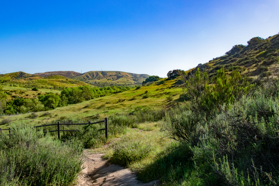 Growing Green Spaces 2026 Grant Program