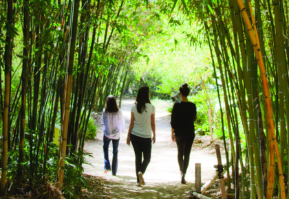 San Diego Botanic Garden Exhibition